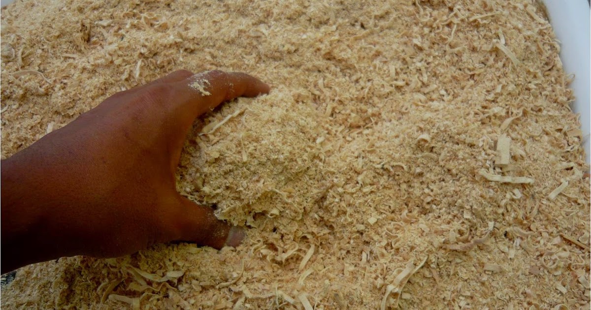 ALTERNATIVA ECOLÓGICA ¿CÓMO SE DEBE UTILIZAR EL ASERRÍN EN EL BIOHUERTO?