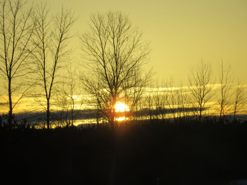 sunset