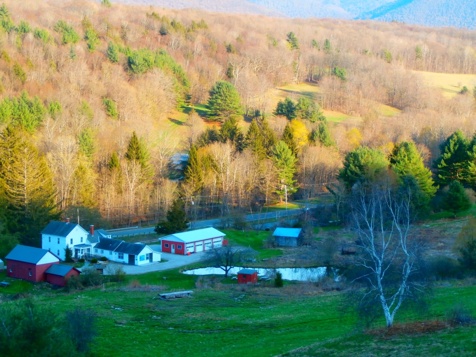 Walking Man 24 7 Williamstown(Field Farm/ Mt Hope Park/ Sheep Hill)