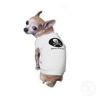 Funny Dog Pictures