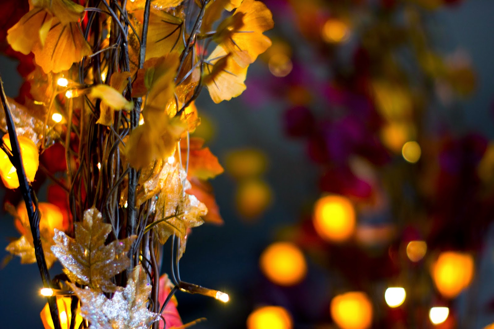 A Photographer's Life Autumn Lights
