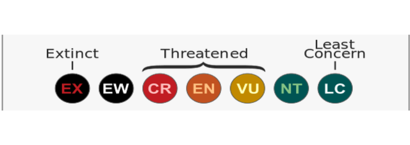 IUCN Red List Fantastic Fundas