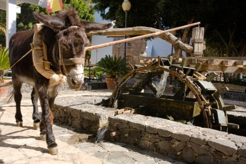 Turning the Waterwheel