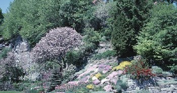 Garden Design: hill landscape design