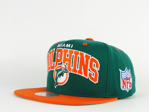 mitchell and ness dolphins