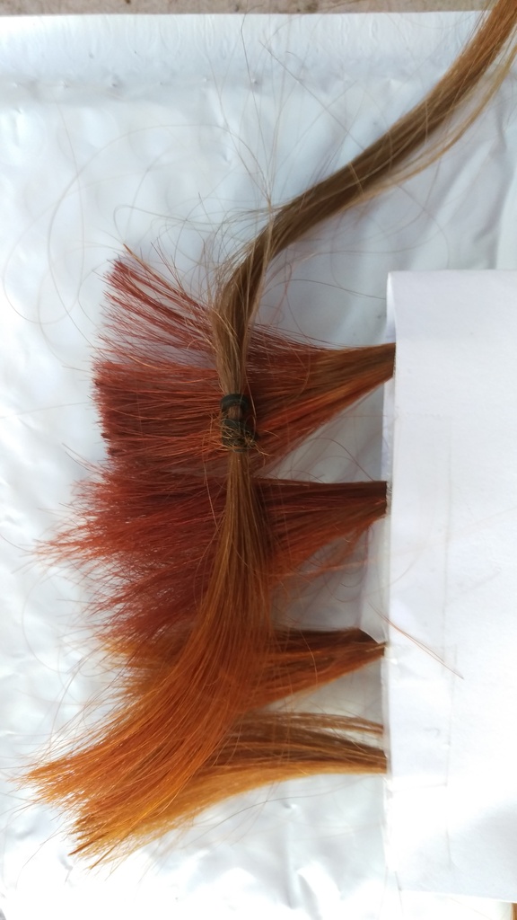 A Nightblooming Garden Nightblooming Red Herbal Dyes Strand