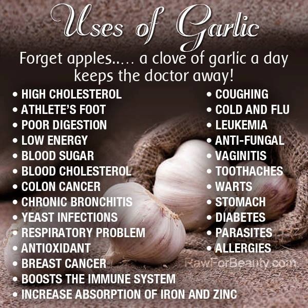 How Much Is A Clove Of Garlic