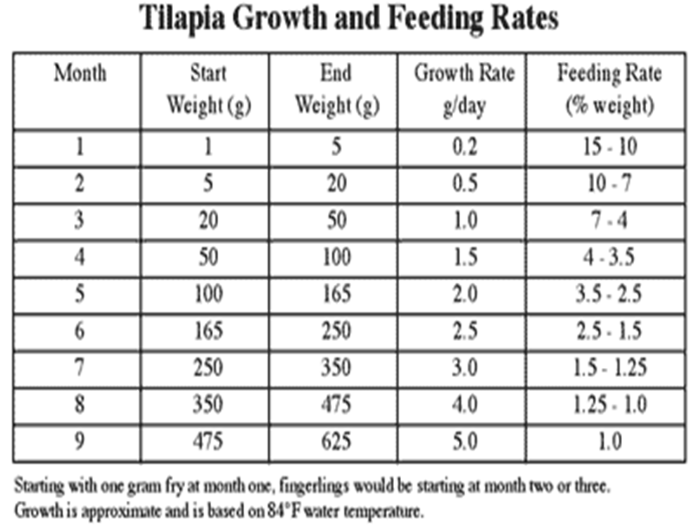 Tilapia Growth Chart