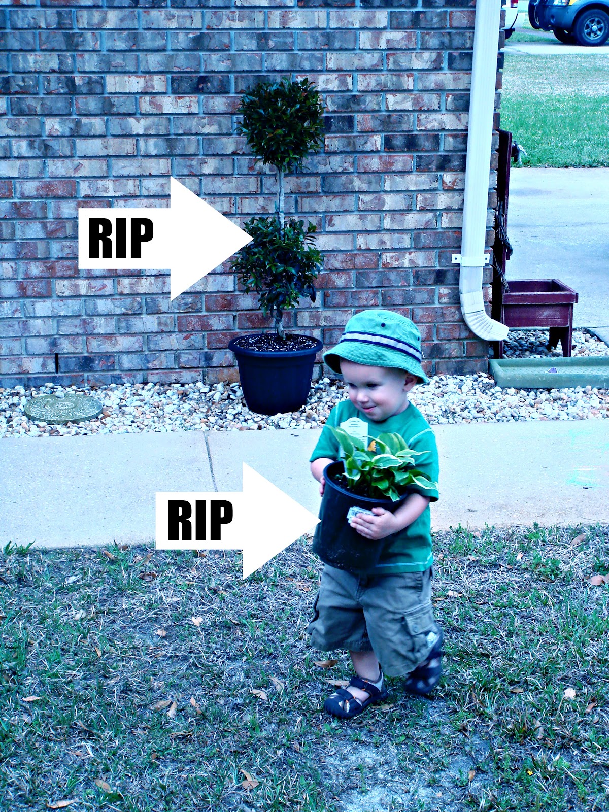 Little Moments Real Dirt, Fake Flowers