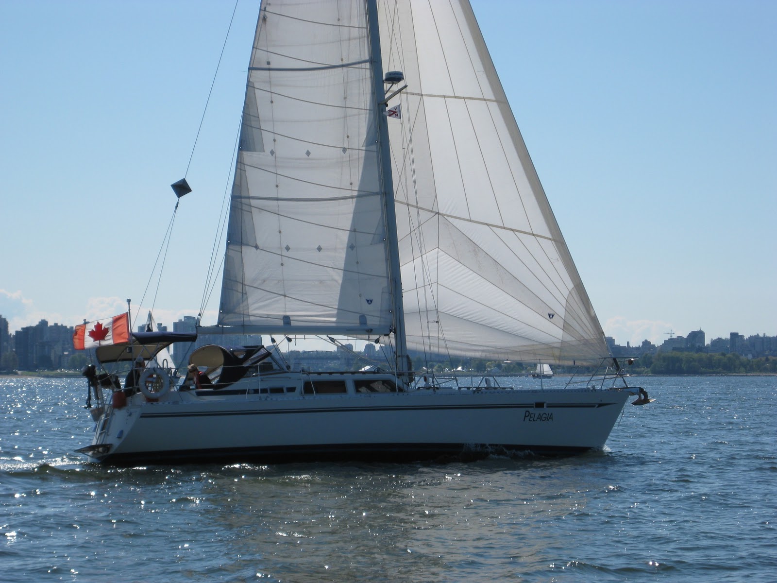 Sailing Pelagia Pelagia Sceptre 41