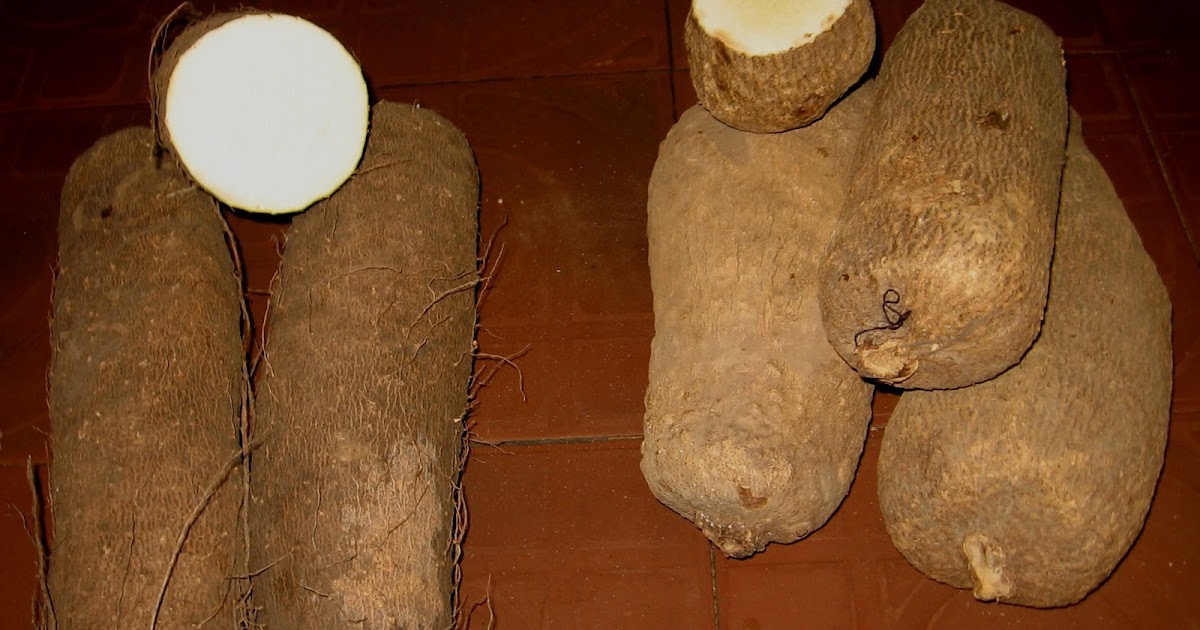Wives Connection How To Buy Good White Yams