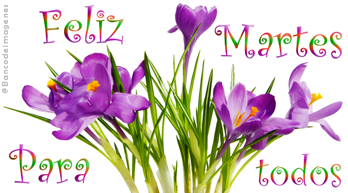 Resultado de imagen de martes con flores