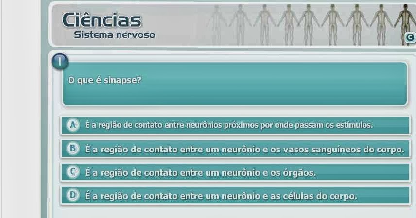 5º Ano: Jogos Educativos Sistema Nervoso e Urinário