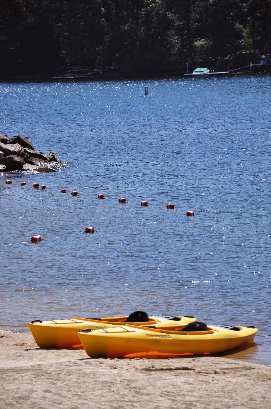 Plenty to do Deep Creek State Park! Deep Creek Lake Vacations Blog