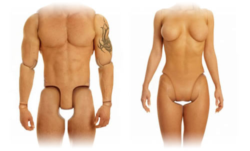 [Imagem: fd_assexuados.jpg]