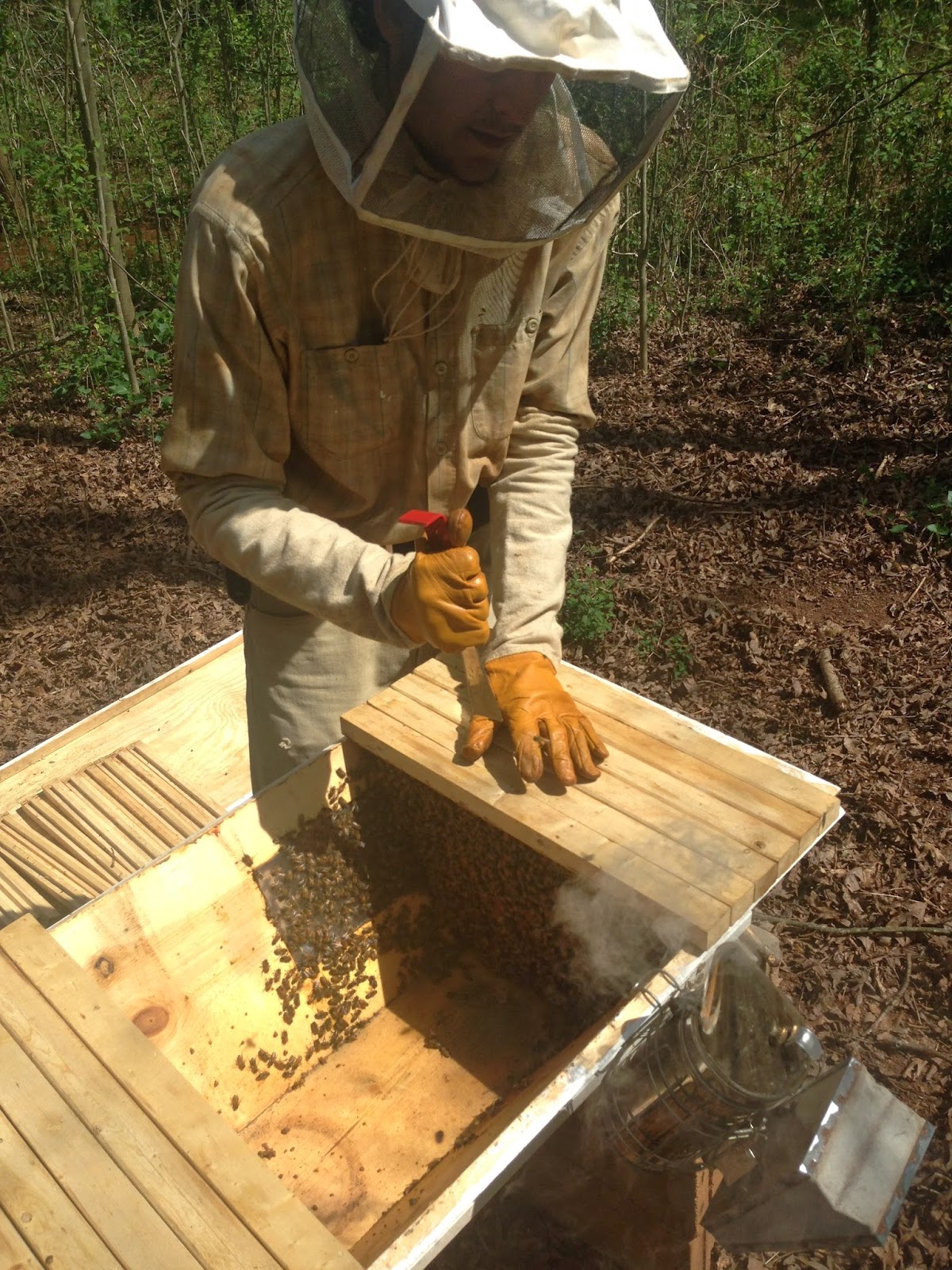 hive tool top bar beekeeping