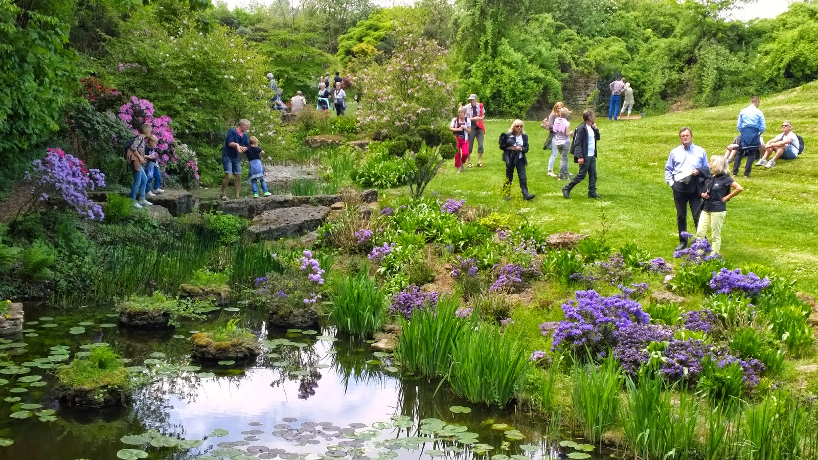 Landschaftspark Und Rhododendren Im Schlosspark Dennenlohe Achims