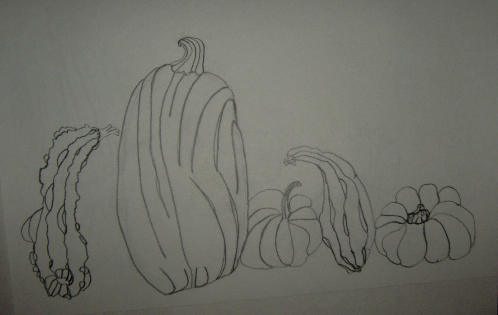 Contour Line Drawing Pumpkin : Art in the middle school pumpkins everywhere
