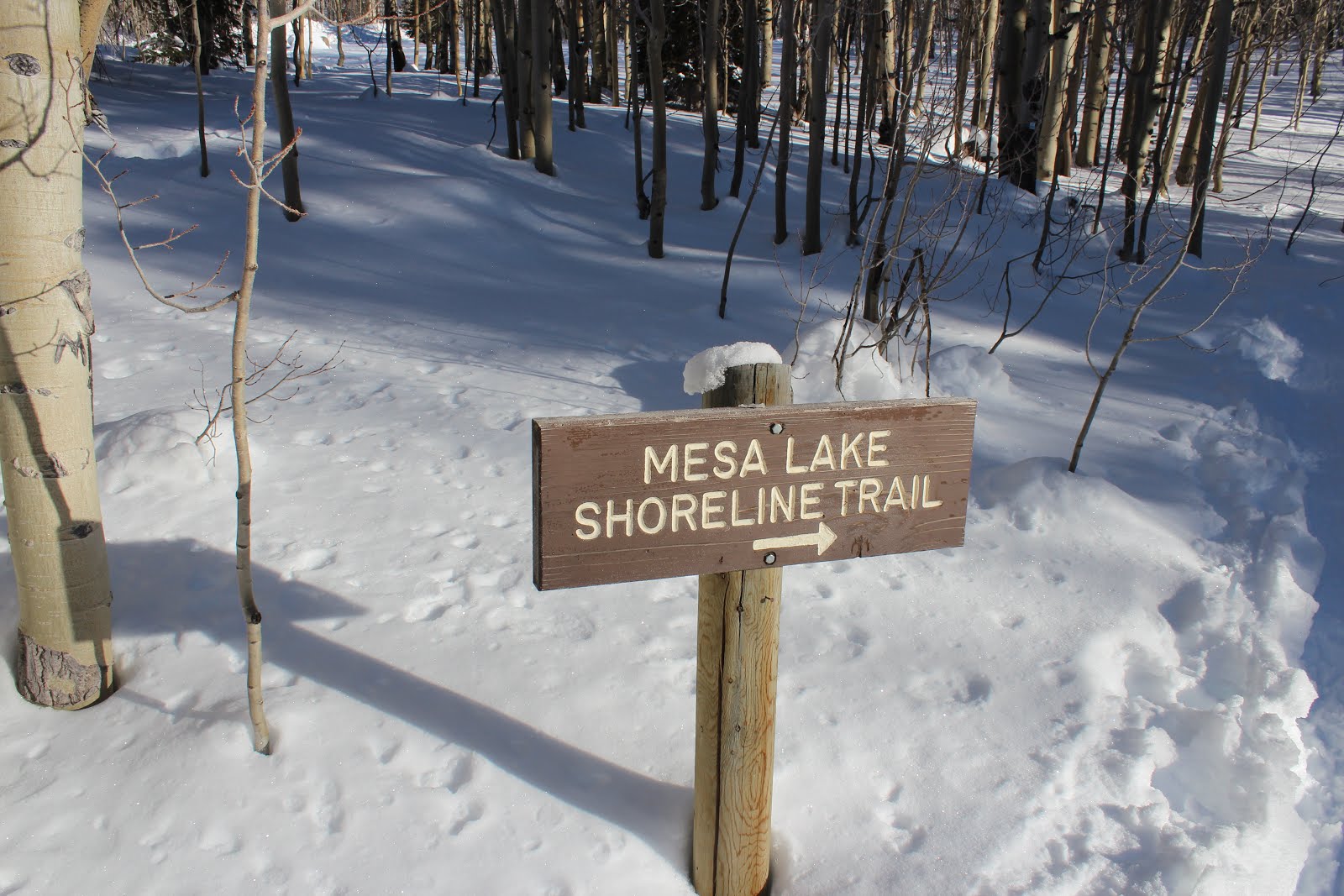 Mesa Lake Shoreline Nordic