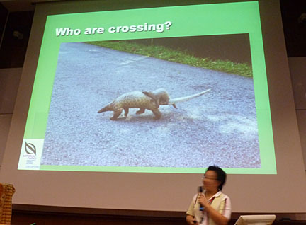 National biodiversity strategy and action plan singapore