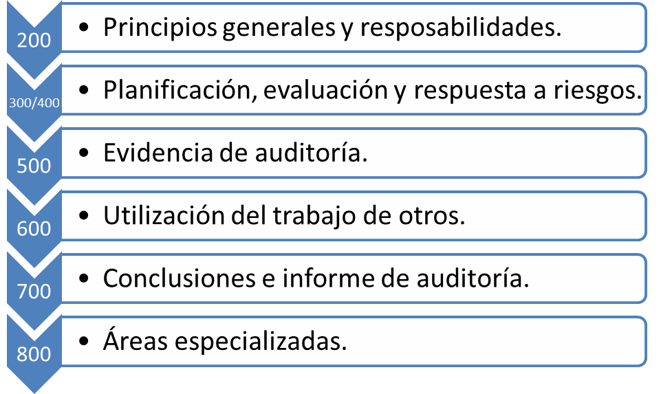 Introducción a las NIAES Normas Internacionales de Auditoría