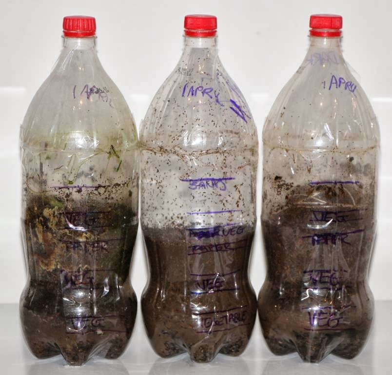 Every Bed of Roses Compost in a Bottle {Science Experiment}