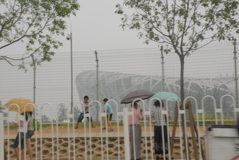 Get The Family Of Man January 24–May 8 1955 Museum Of Modern Art New York Background