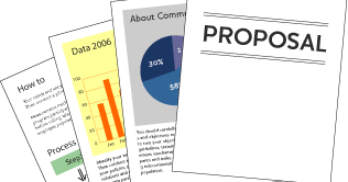 Bai mao research proposal 04 image