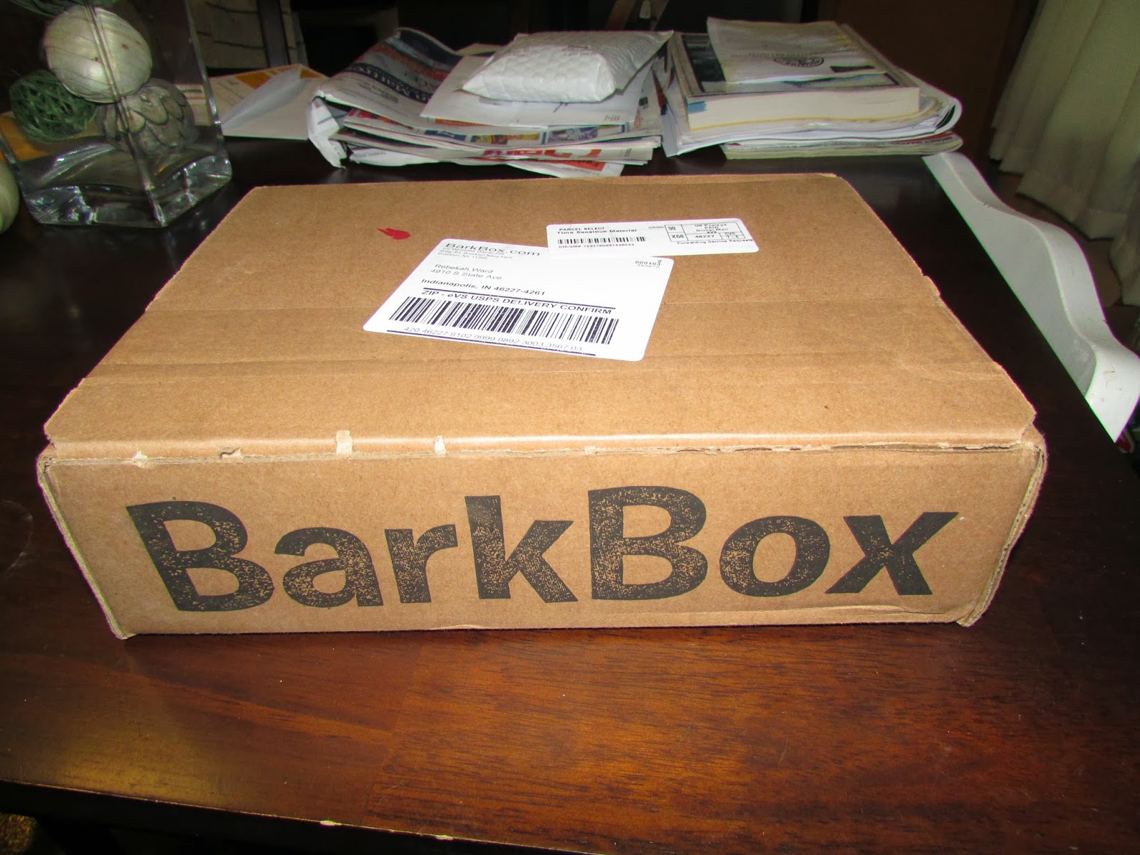 My Rotten Dogs September 2013 BarkBox Review
