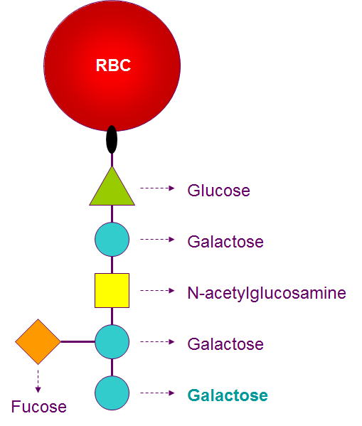 Medical Student Sharing Blood Group and HDN