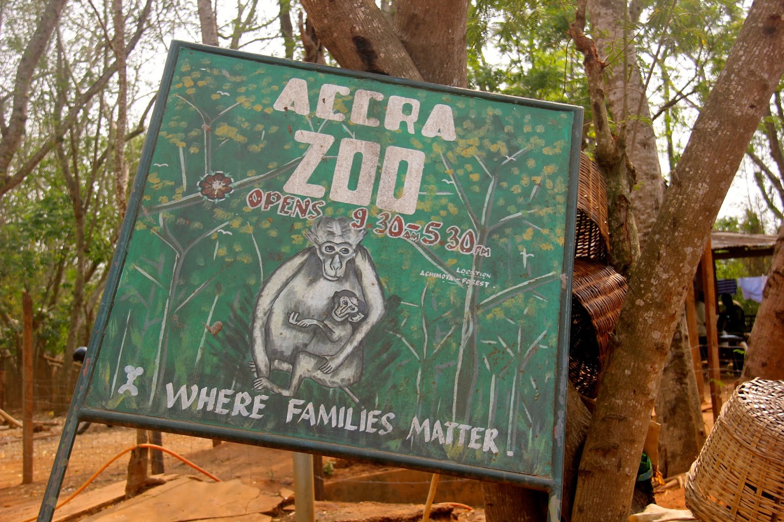 Life in Africa Accra Zoo (Achimota Forest)