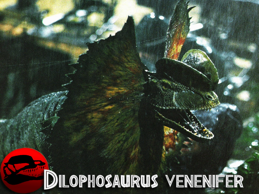 http://2.bp.blogspot.com/-1kjUOAgmXvk/T4QaAWdcpWI/AAAAAAAAA_A/pwsZ_frBE0o/s1600/JP-Wallpaper-part-3-jurassic-park-2352562-1024-768.jpg