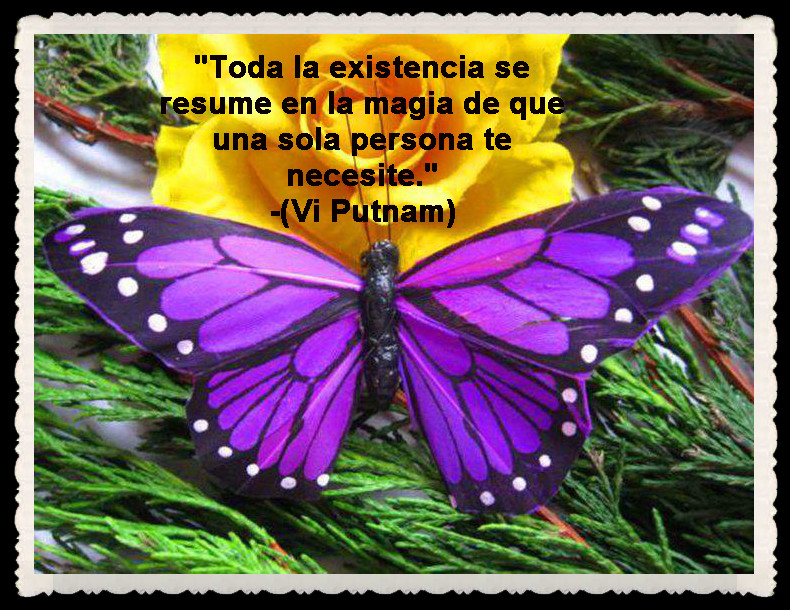 Imagenes De Mariposas Con Frases Imagenes De Mariposas Con Frases