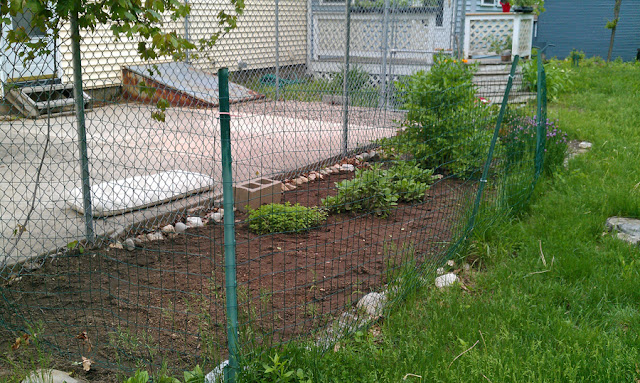 Ancient Fire Beverage Blog: Keeping a Garden