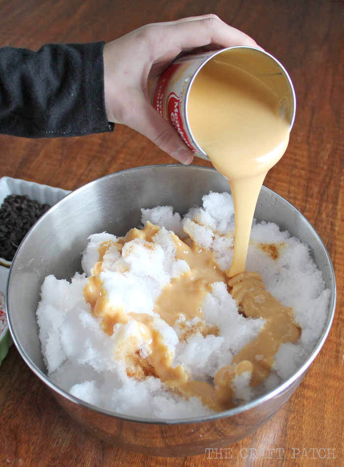 How To Make Ice Cream From SNOW!!