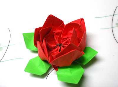 Lotus Flower Origami Design Lotus Flower Origami Design