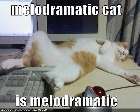 melodrama-cat2.jpg