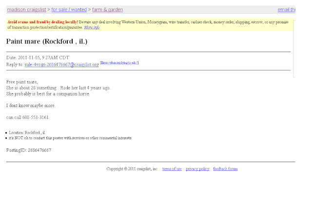North Horse Euthanize Me Please