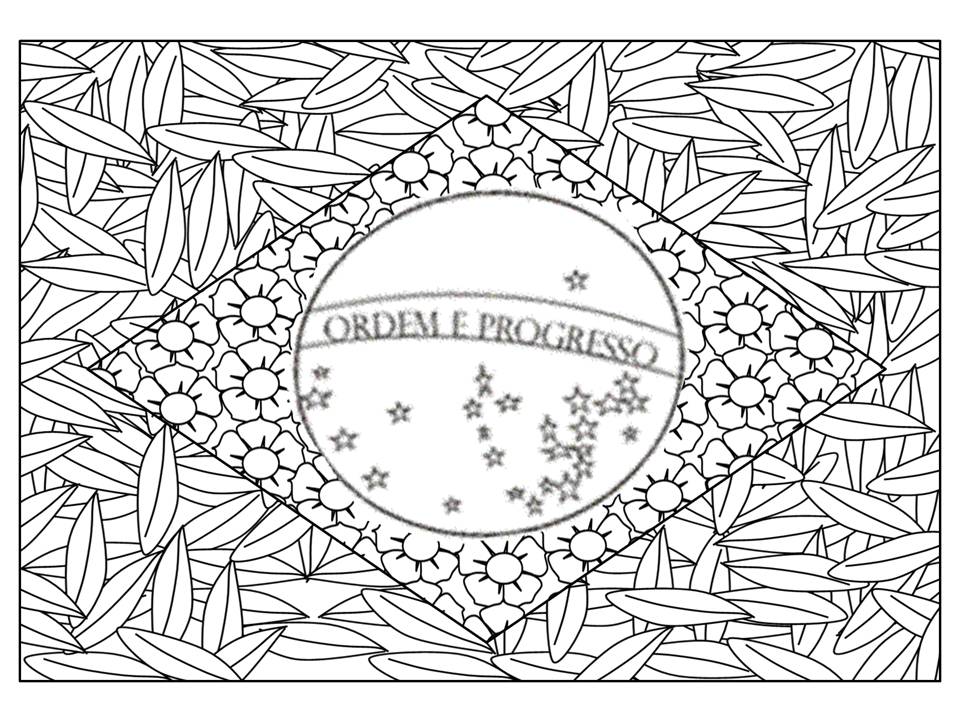 colorindo com a turma do nicola colorir uma bandeira brasileira