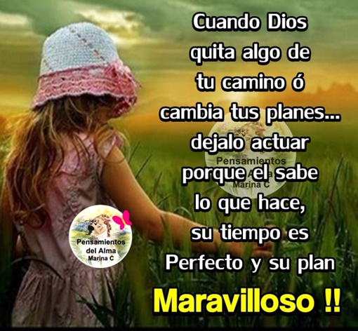 Imagen relacionada