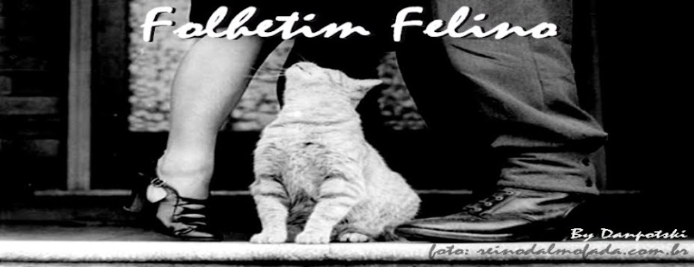 Folhetim Felino:
