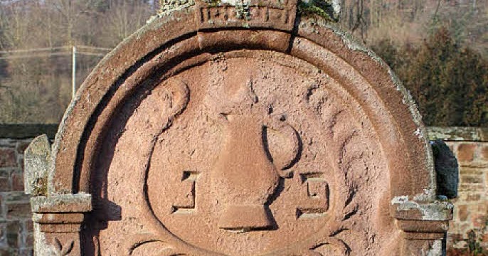 Aap Volltextsuche