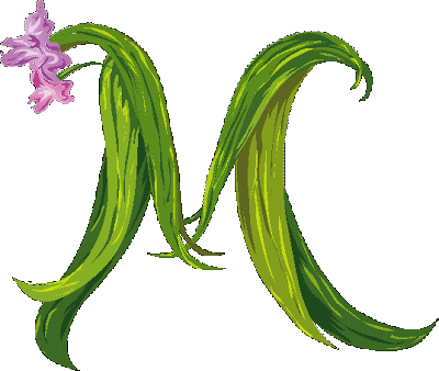 Letter M Wallpapers Letter M Wallpapers