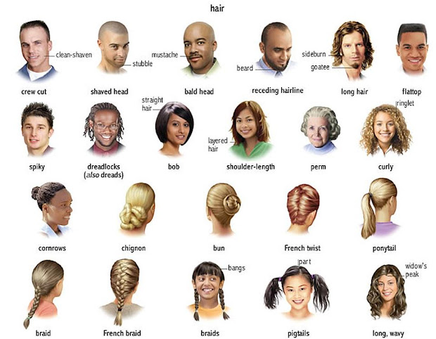 level 5 describing people