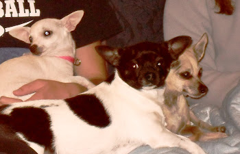 Lilly, Tinkerbell & Lucky