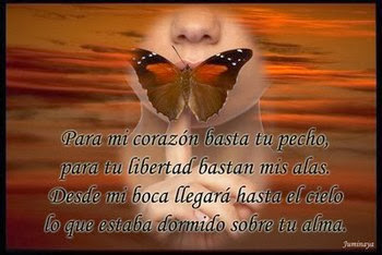 te regalo una rosa la encontre en el camino neruda