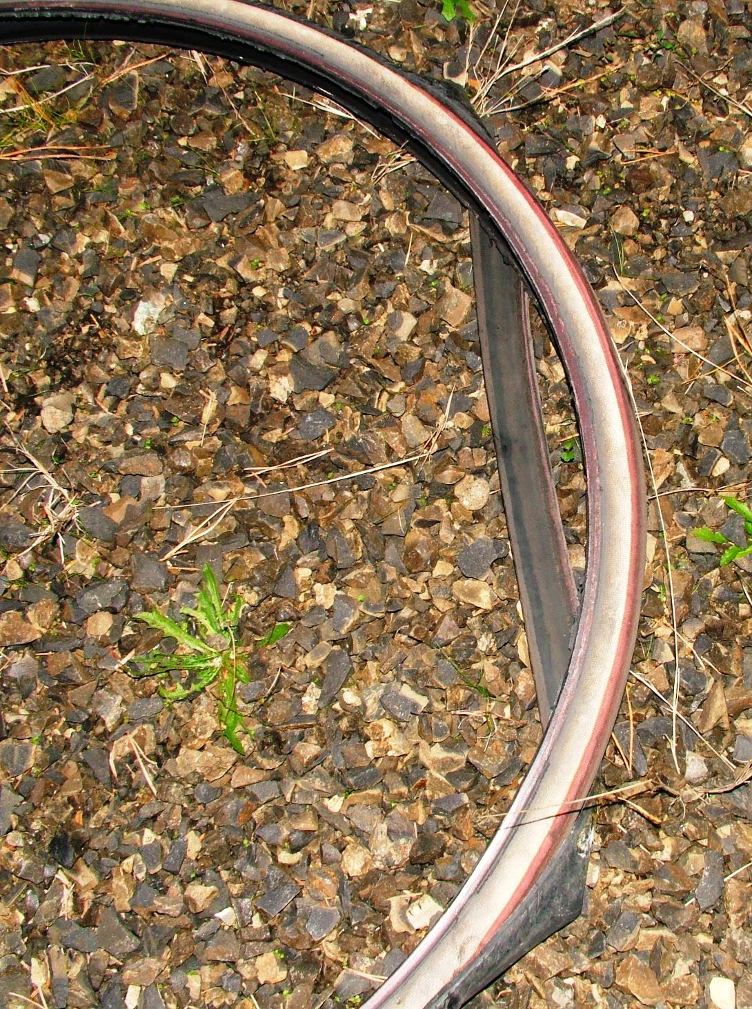 armadillo bicycle tires