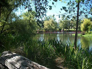 Moat at Chateau Montelena