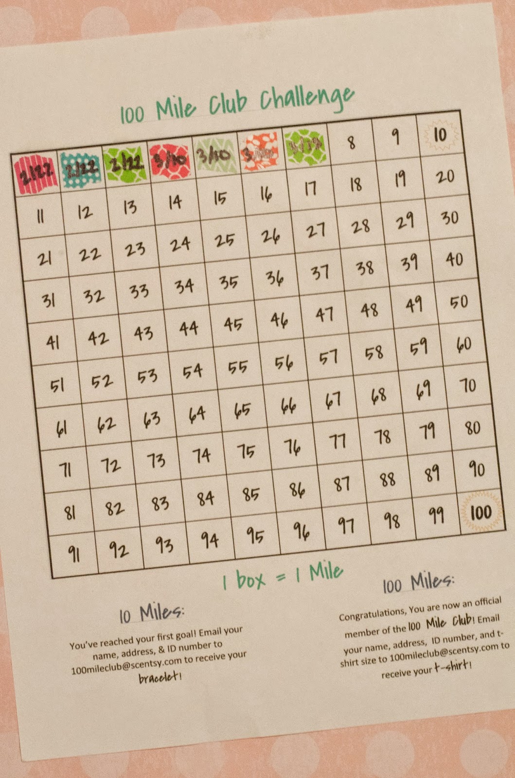 keeping up with kelsey 30 miles in 30 days march bp log sheet