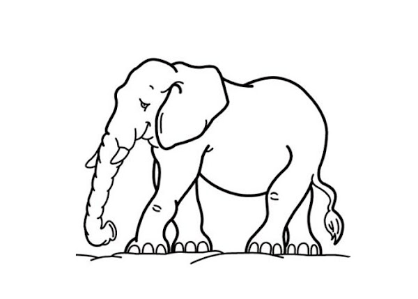 Cartoon Elephant Coloring Pages